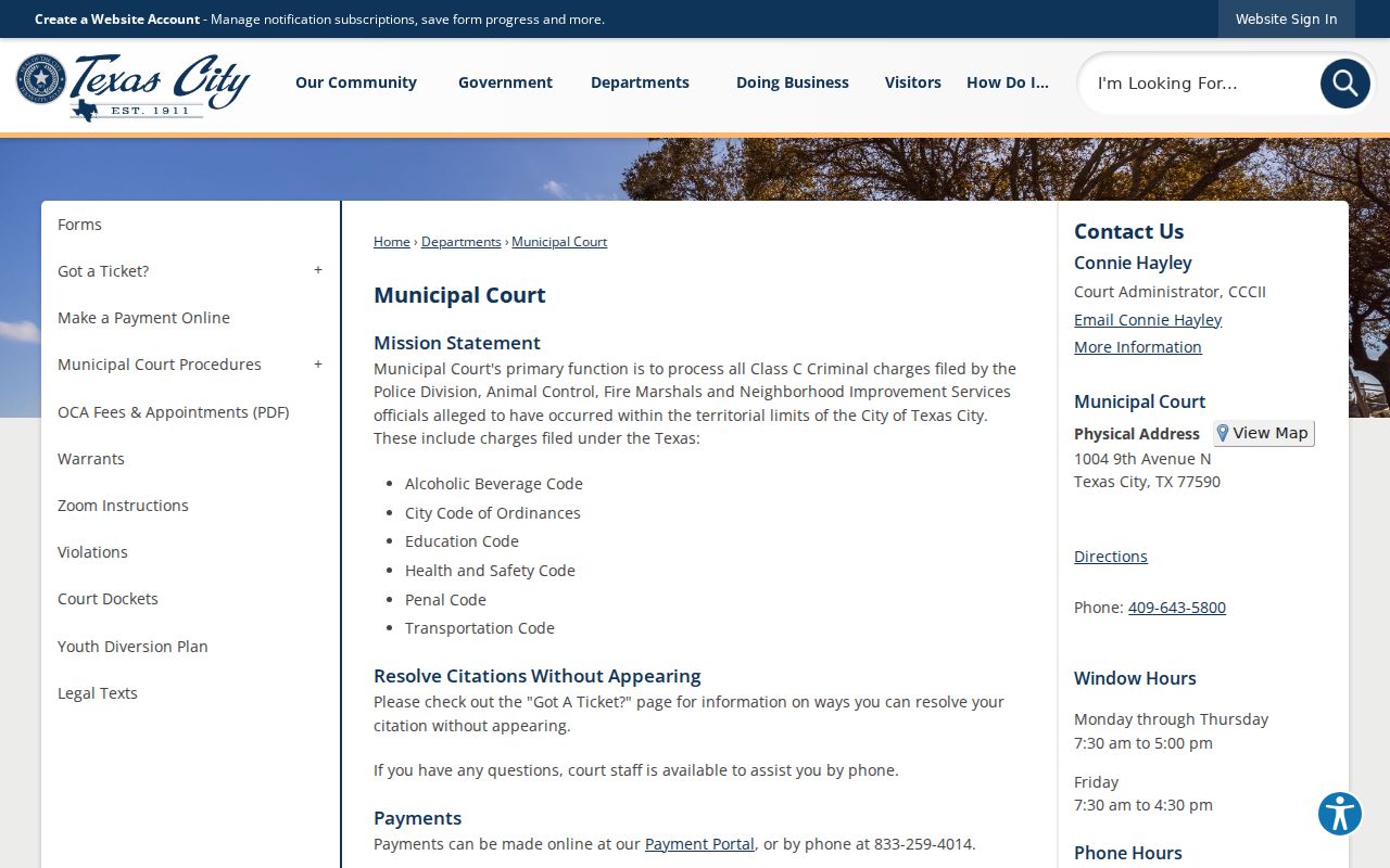Texas City court docket official municipal court page
